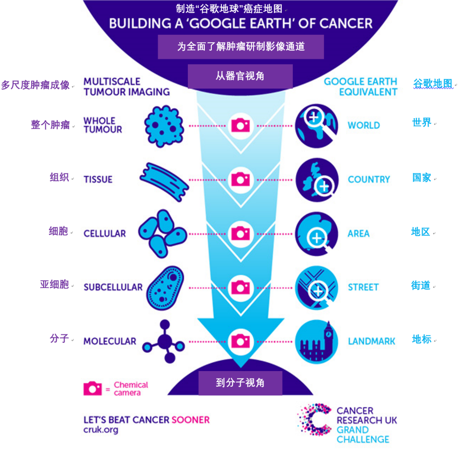 谷歌地球般精准的癌症制图