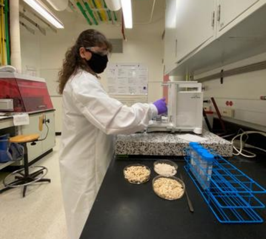 NIST研究人员正在记录燕麦粉样本的质量